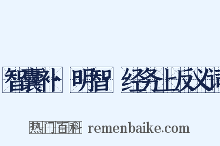 智囊补·明智·经务上反义词是什么意思的图片